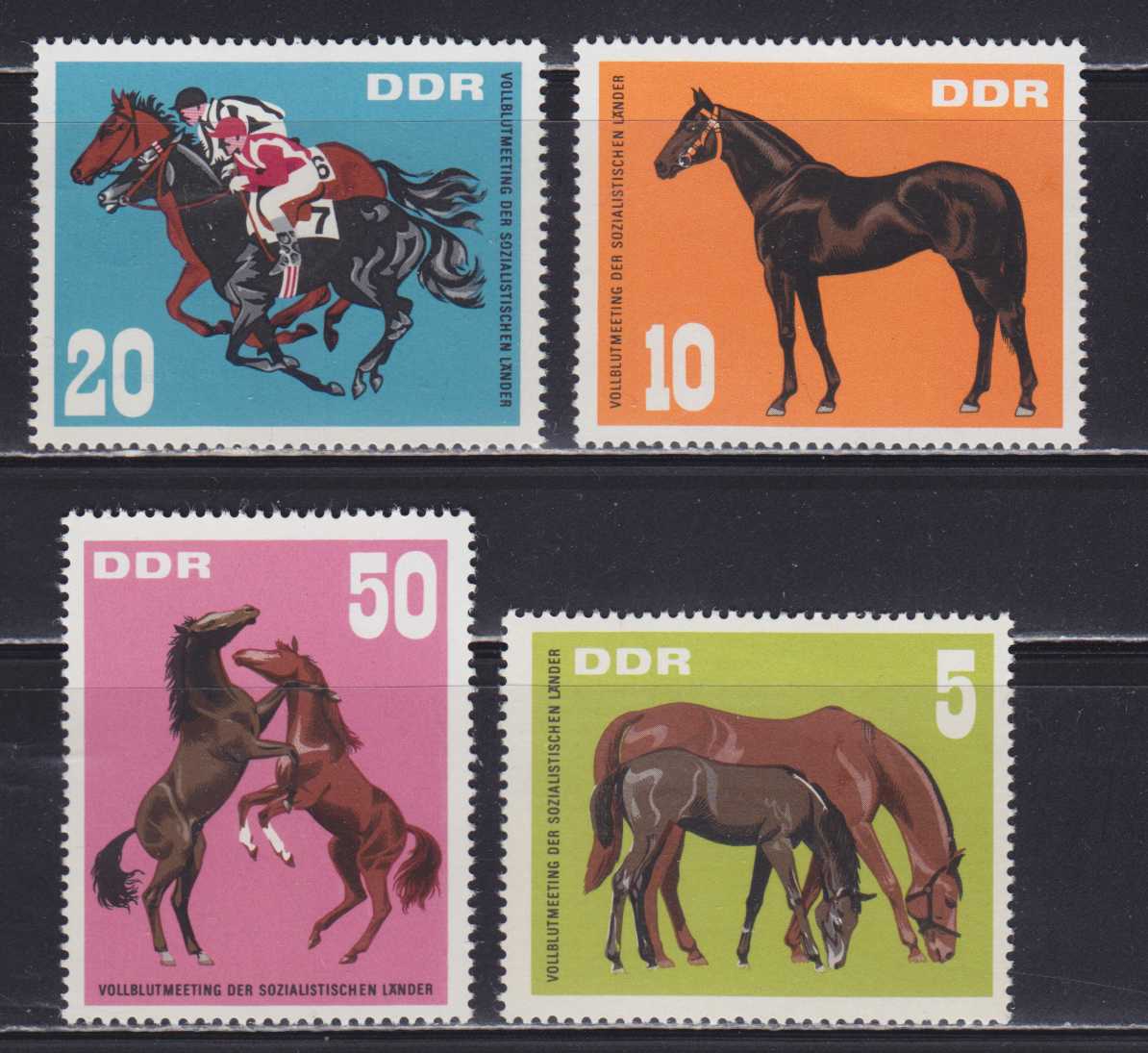 Лошадка марка. Марки лошади. Лошади на почтовых марках. Почтовые марки кони DDR.
