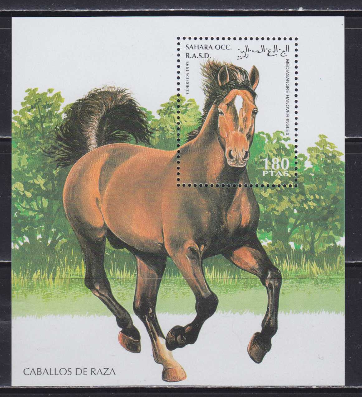 Лошадка марка. Лошади на почтовых марках. Почтовая марка конь. Марки с изображением коня.