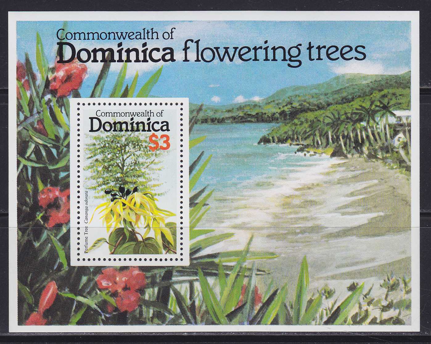 Domenika flowers. Domenika flowers